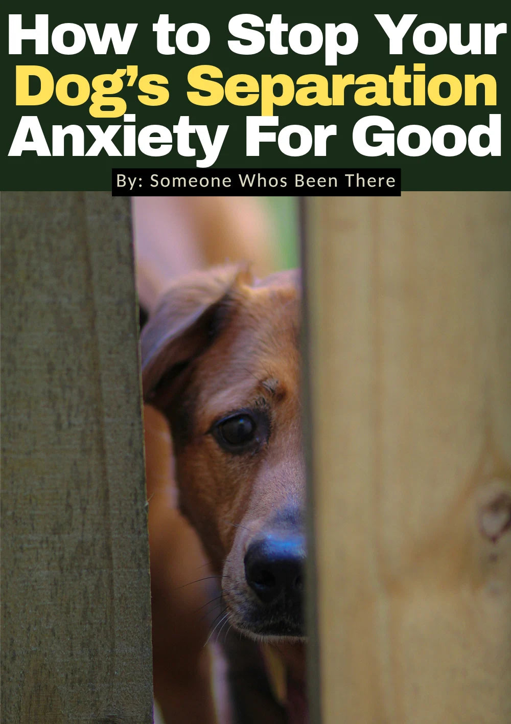 How to Stop Your Dog’s Separation Anxiety For Good (Instant PDF)